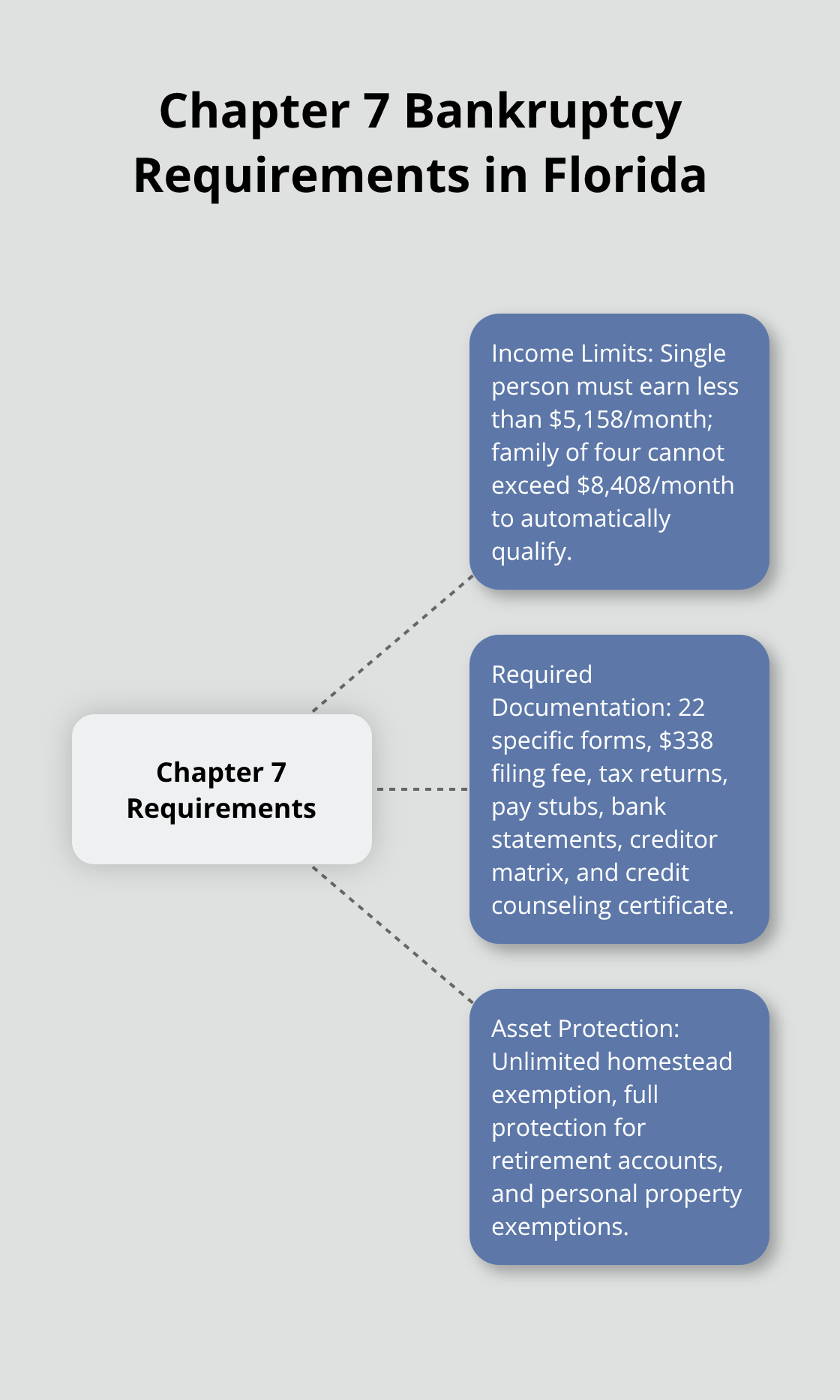 Hub and spoke chart showing key requirements for Chapter 7 bankruptcy in Florida: Income Limits, Required Documentation, and Asset Protection. - can i file bankruptcy without a lawyer