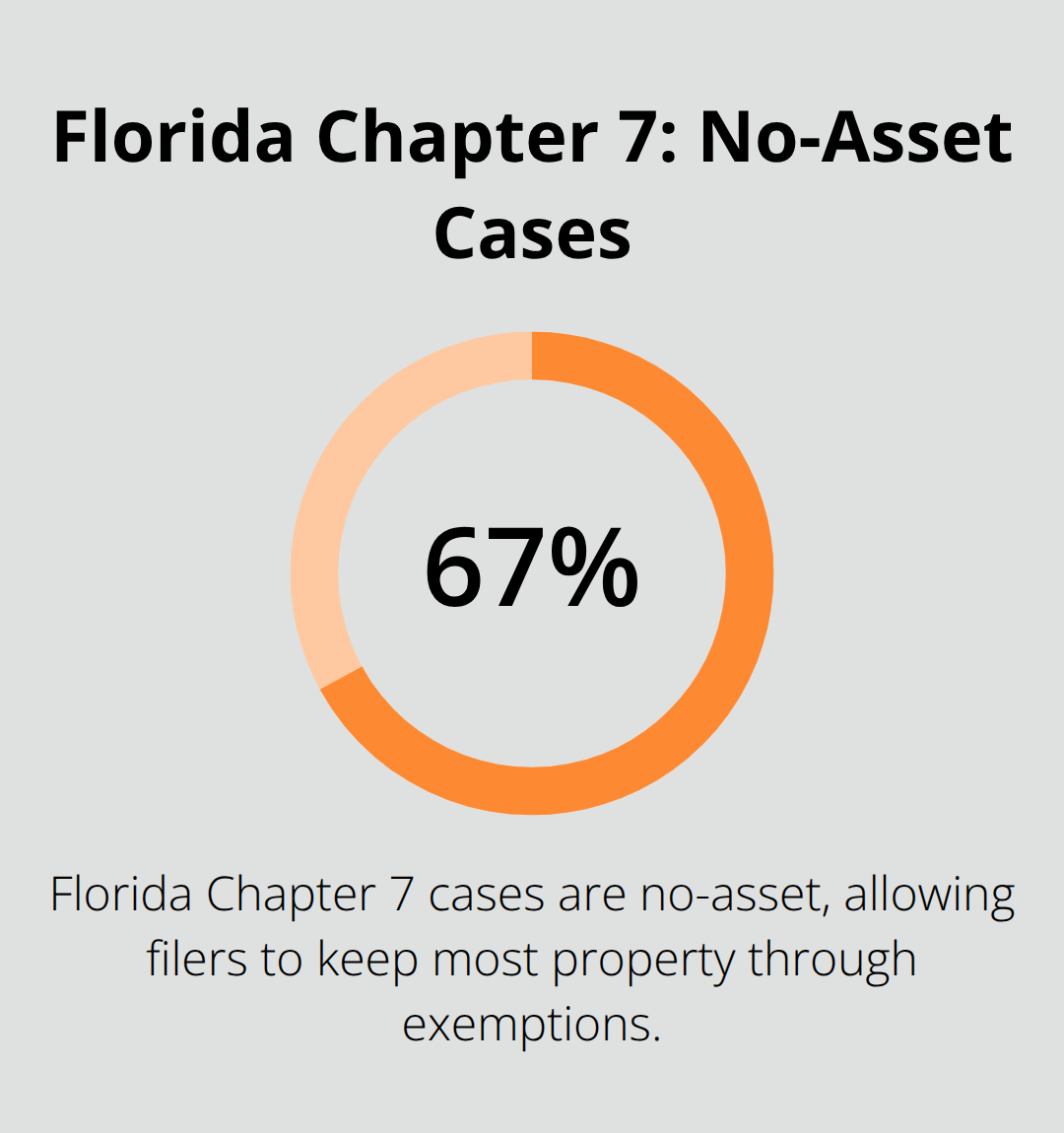 Share of no-asset Chapter 7 cases in Florida - chapter 11 vs chapter 7 bankruptcy