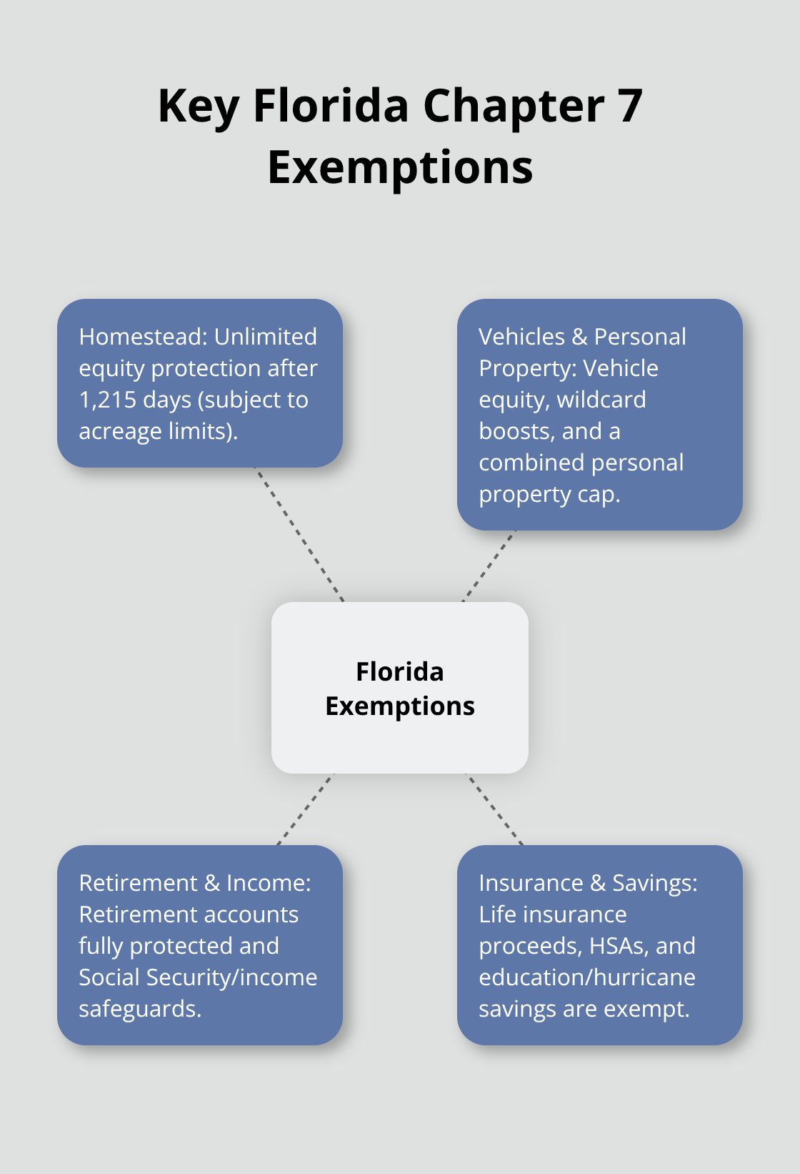 Hub-and-spoke showing main exemption categories in Florida Chapter 7 bankruptcy - chapter 7 bankruptcy florida exemptions
