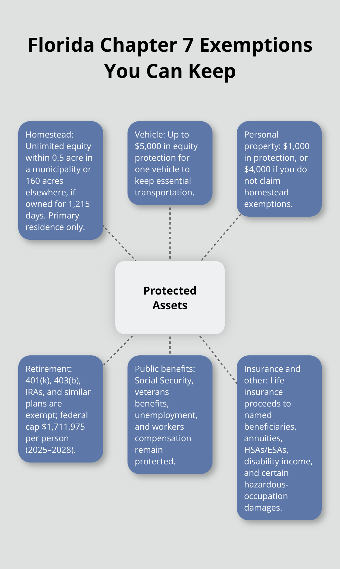 Hub-and-spoke diagram summarizing protected assets in a Florida Chapter 7 case. - Chapter filing