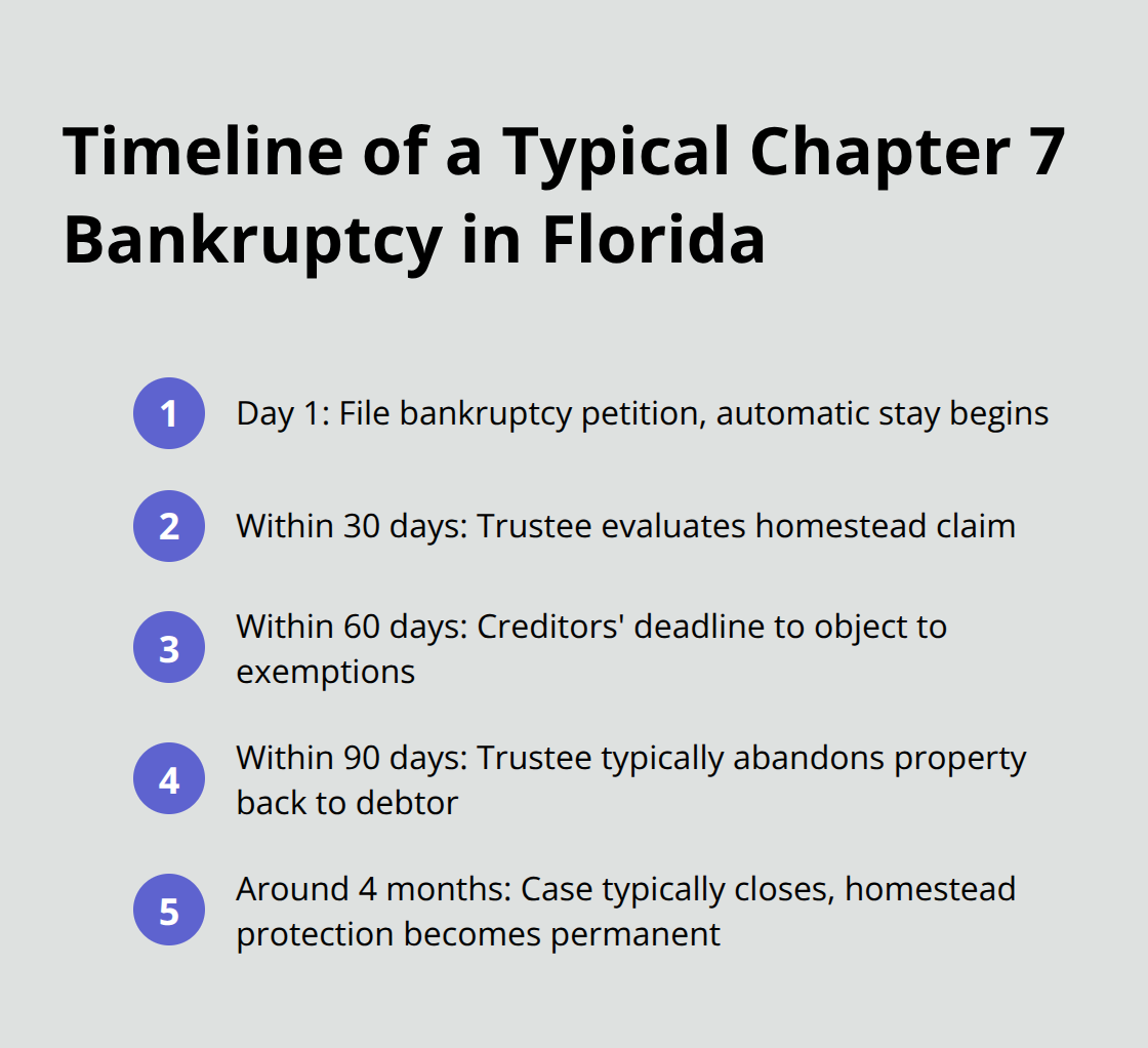 Chart showing the typical timeline of a Chapter 7 bankruptcy case in Florida, including key milestones over a four-month period - if you file for bankruptcy do you lose your house