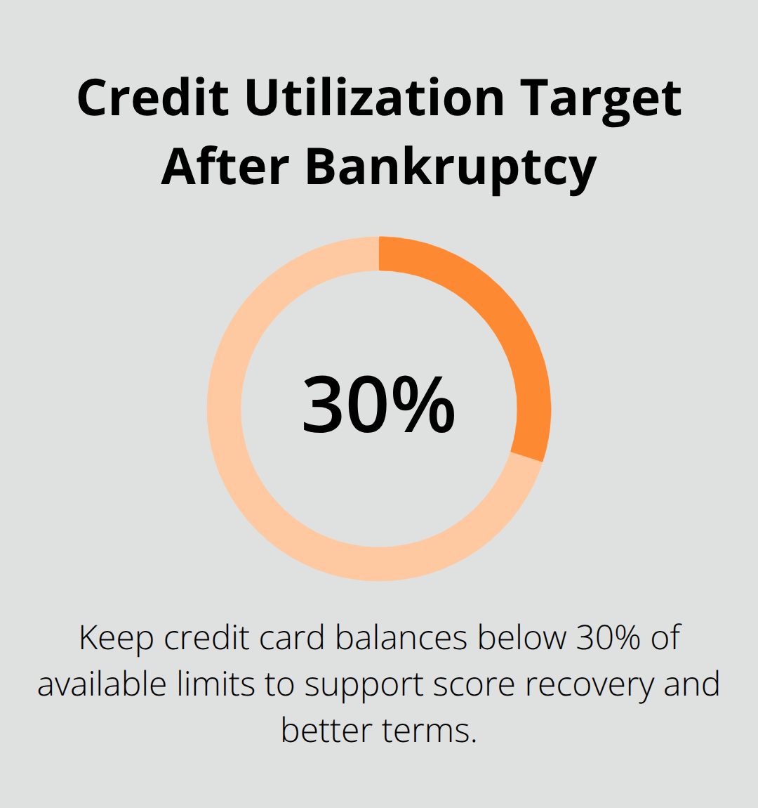 Single-percentage graphic highlighting the 30% credit utilization guideline. - process of bankruptcy chapter 7